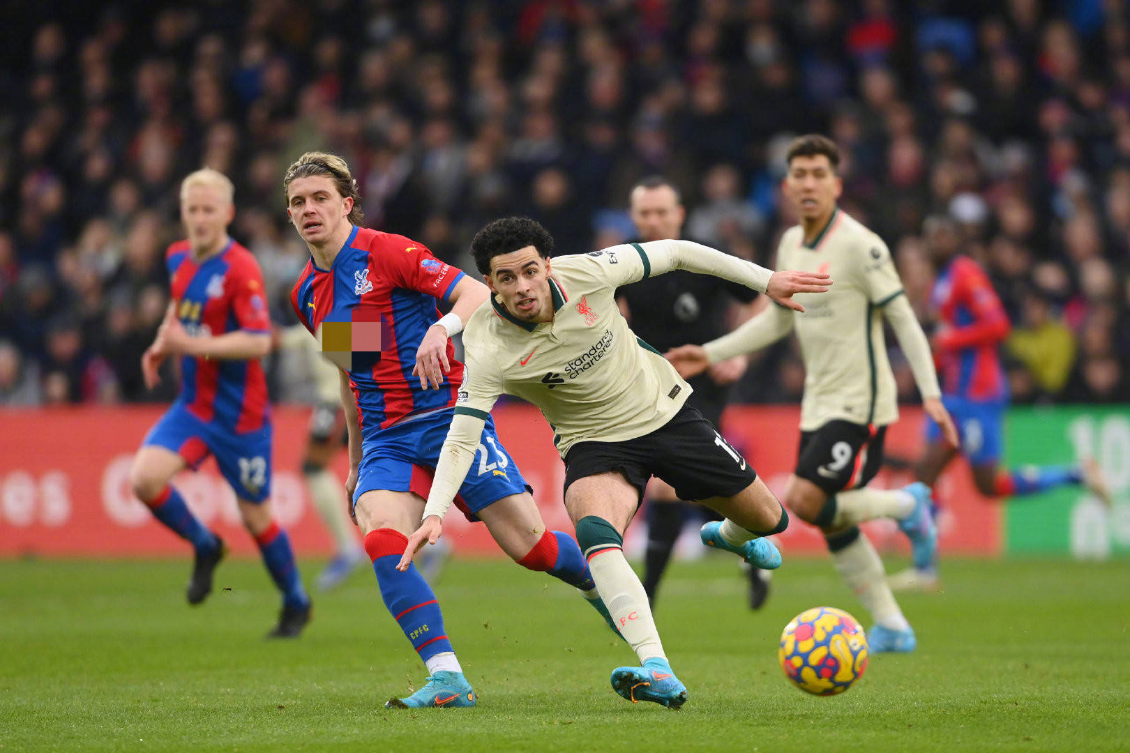 们提供了一 们提供了一